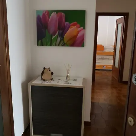 Riccio Apartman