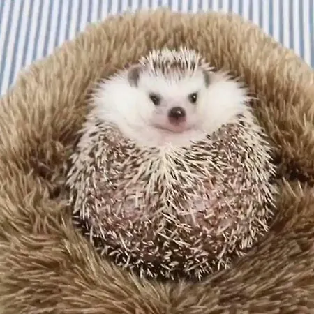 Riccio Διαμέρισμα Λα Σπέτσια